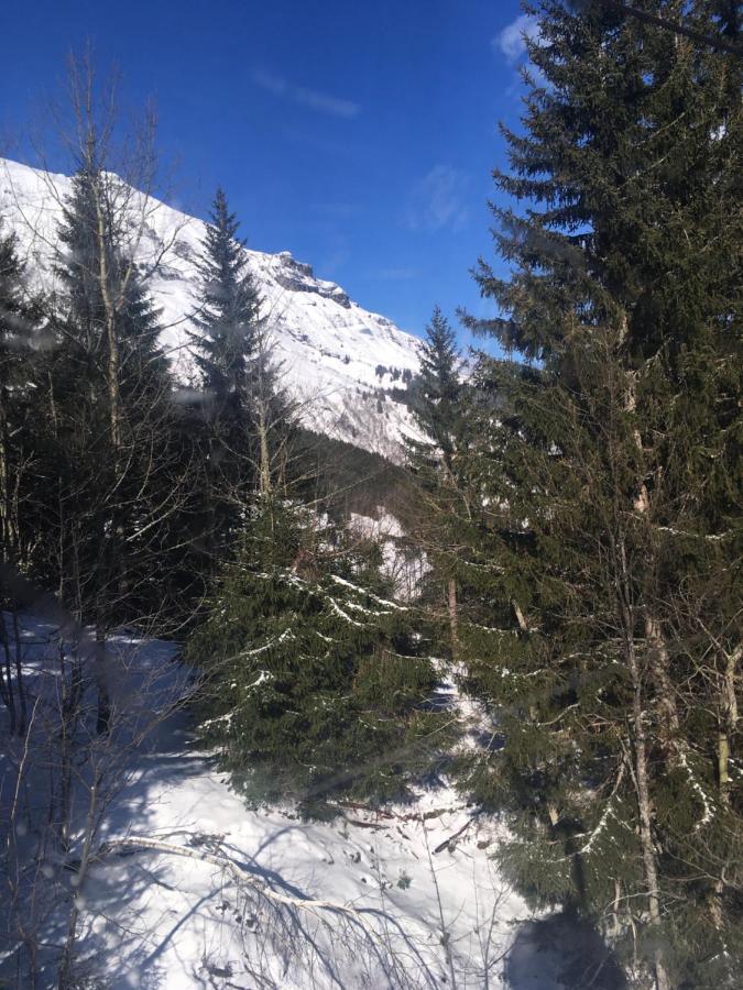 Les Pierres Blanches Mont Blanc Leilighet Les Contamines-Montjoie Eksteriør bilde