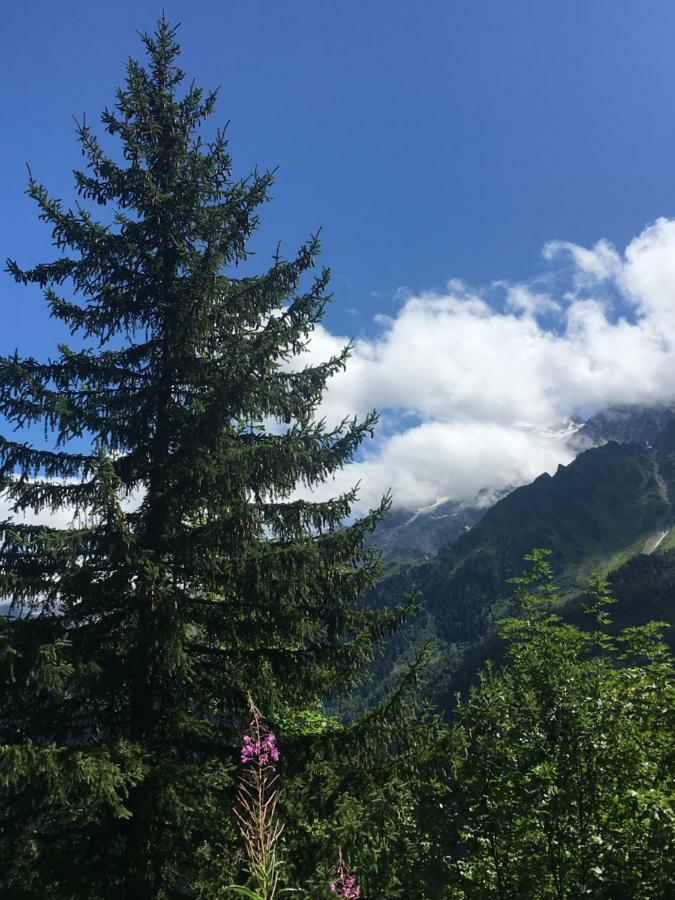 Les Pierres Blanches Mont Blanc Leilighet Les Contamines-Montjoie Eksteriør bilde