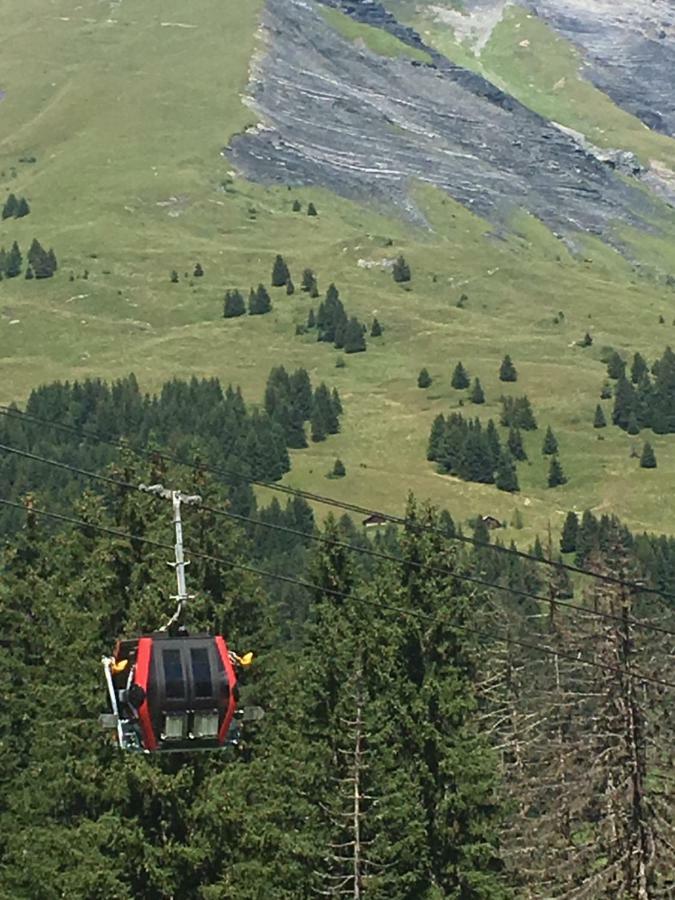 Les Pierres Blanches Mont Blanc Leilighet Les Contamines-Montjoie Eksteriør bilde